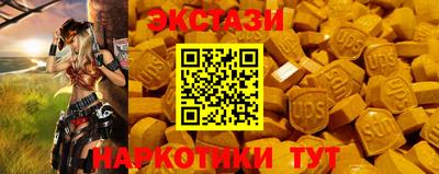 индика Рузаевка