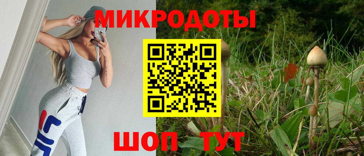 наркотики  Галлюциногенные грибы MAGIC MUSHROOMS  Вход с VPN  Солнечногорск 