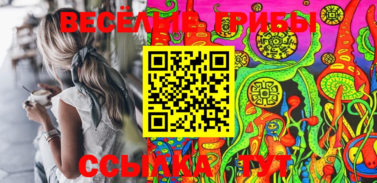 Галлюциногенные грибы Cubensis Солнечногорск